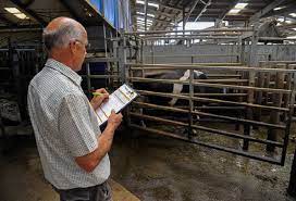 NVTI Diploma in Veterinary Livestock Inspector